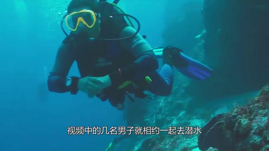 巨魔与勇士